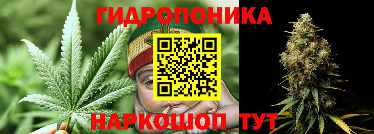 Бошки Шишки семена  Бошки Шишки MAZAR  Усинск  Вход с VPN 